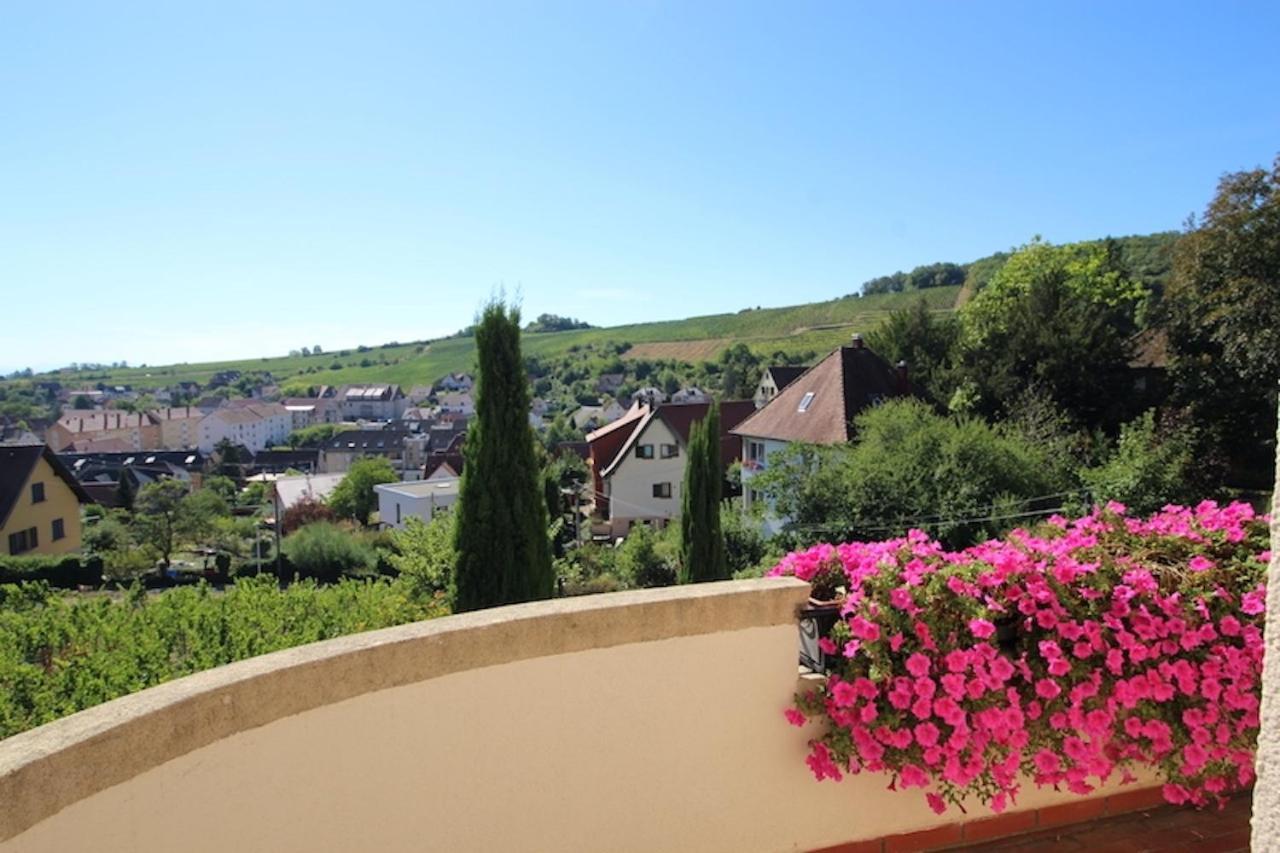 Apartment Escapade Au Bube - Vue Exceptionnelle - Nouveau
