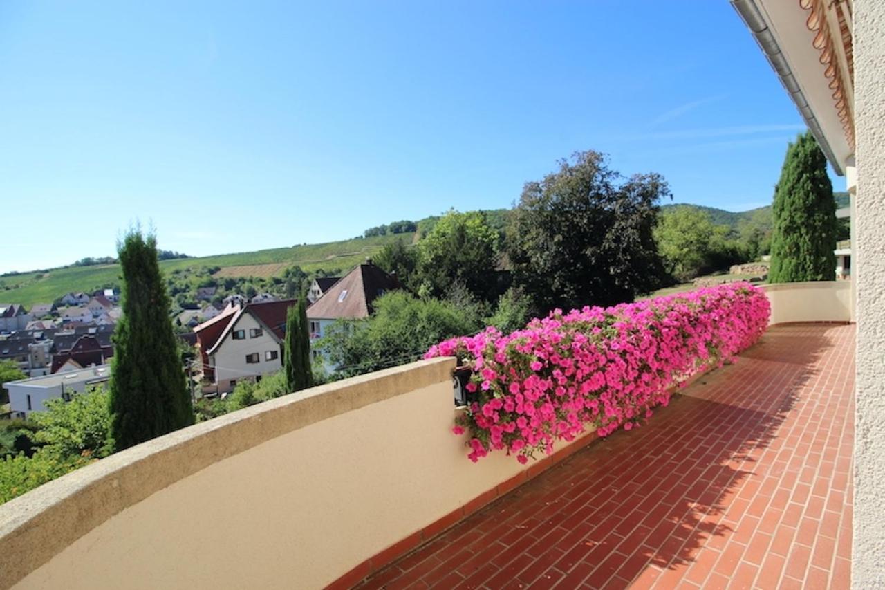 Escapade Au Bube - Vue Exceptionnelle - Nouveau Apartment